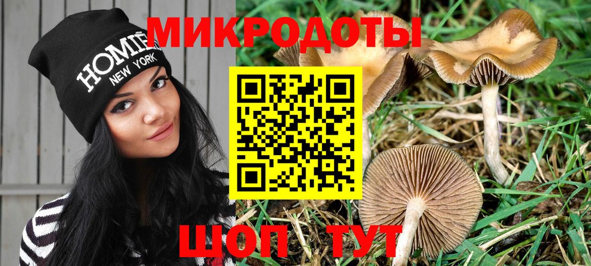 Галлюциногенные грибы прущие грибы  Псилоцибиновые грибы GOLDEN TEACHER  Вход с VPN  Семёнов 