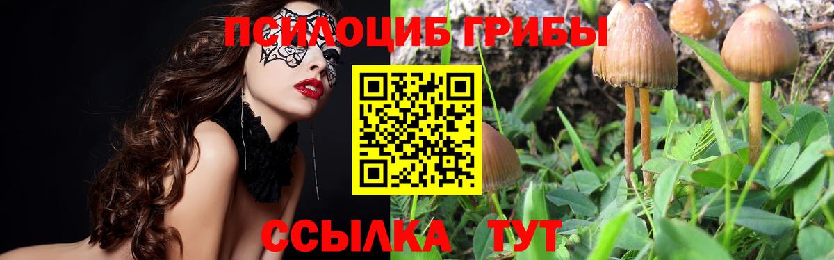 Псилоцибиновые грибы MAGIC MUSHROOMS Семёнов